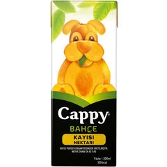 Cappy Kayısı 200 ml