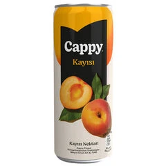 Cappy Kutu Kayısı 330 ml