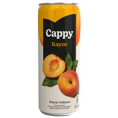 Cappy Kutu Kayısı 330 ml