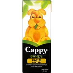 Cappy Kayısı 200 ml