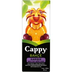 Cappy Karışık 200 ml